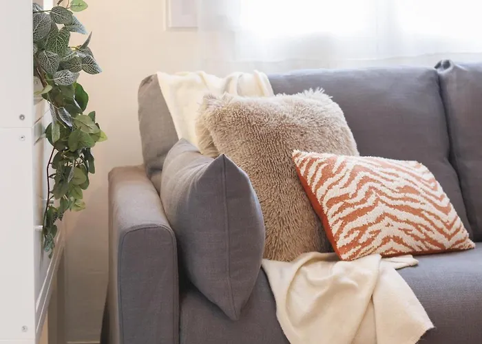 Bravissimo Fellini 赫罗纳