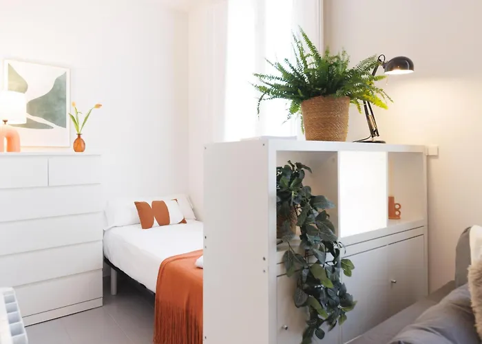 Bravissimo Fellini 赫罗纳