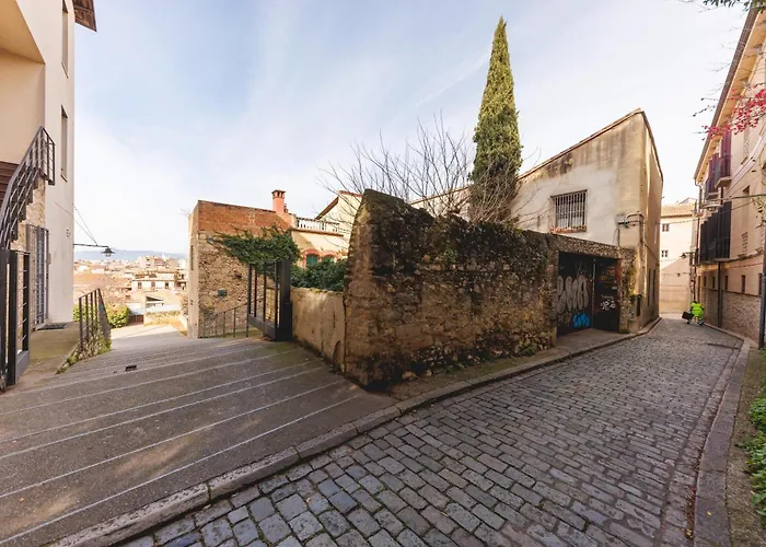 Bravissimo Fellini *