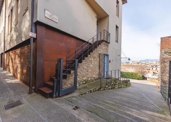 Daire Bravissimo Fellini *